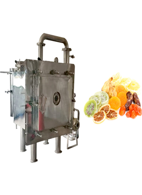 Vacuum Tray Dryer (VTD)